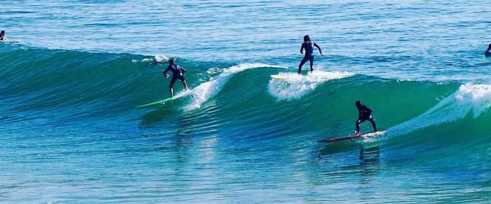 Surf 12